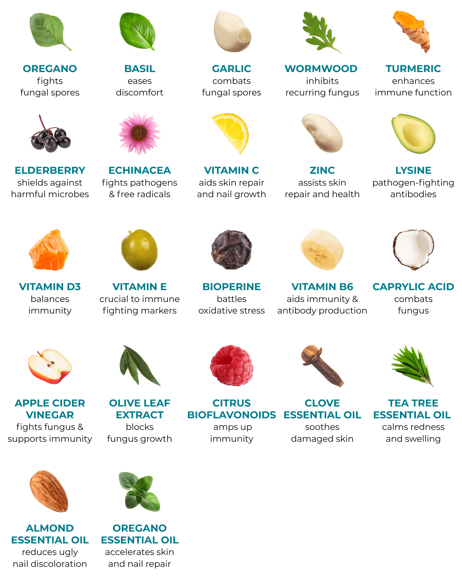 Formidable Fungus Protocol | PureHealth Research