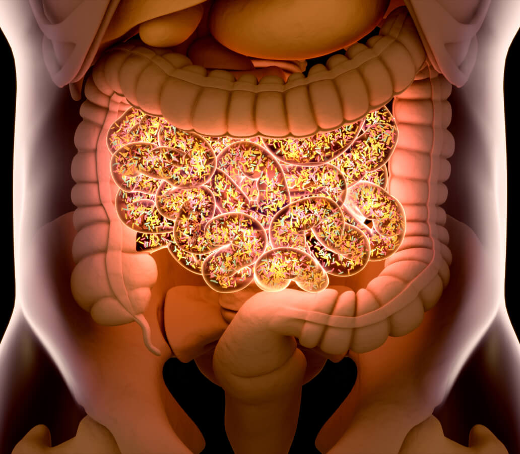 Gut Antioxidants | PureHealth Research