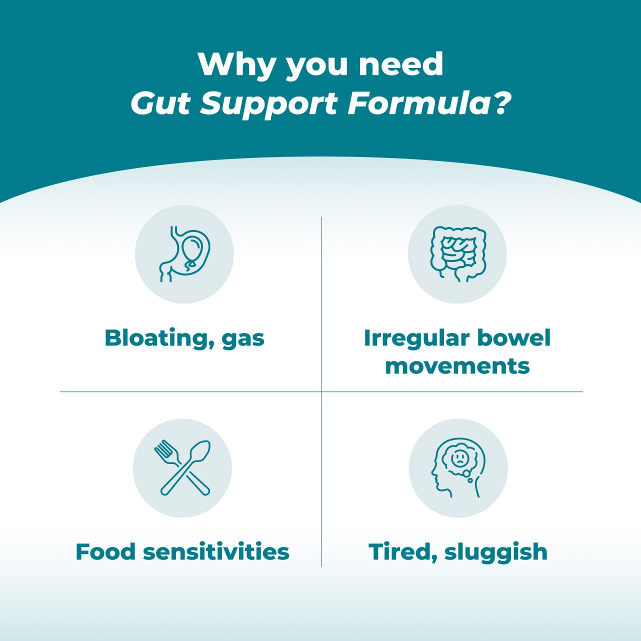 Gut Support Formula