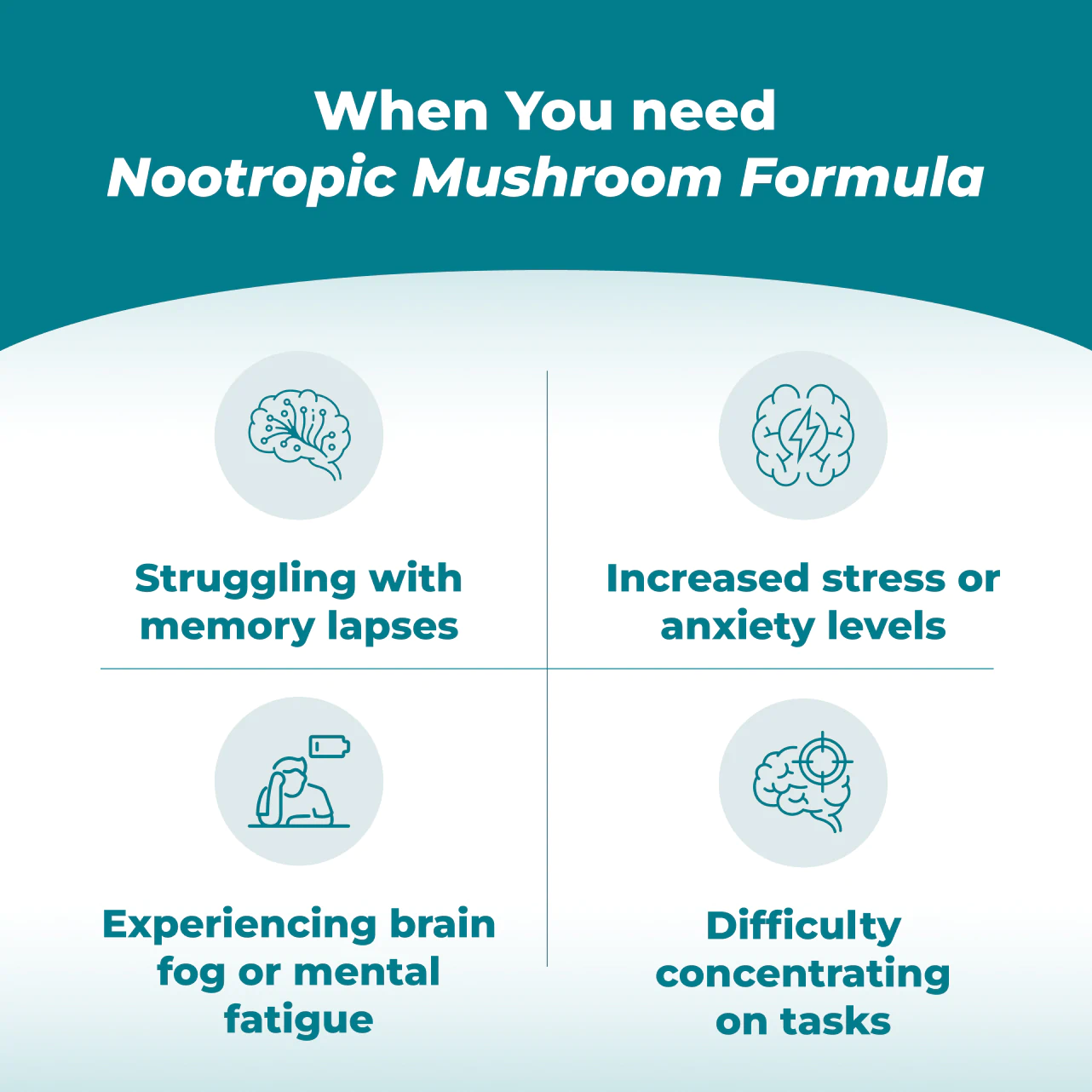 Nootropic Mushroom Formula