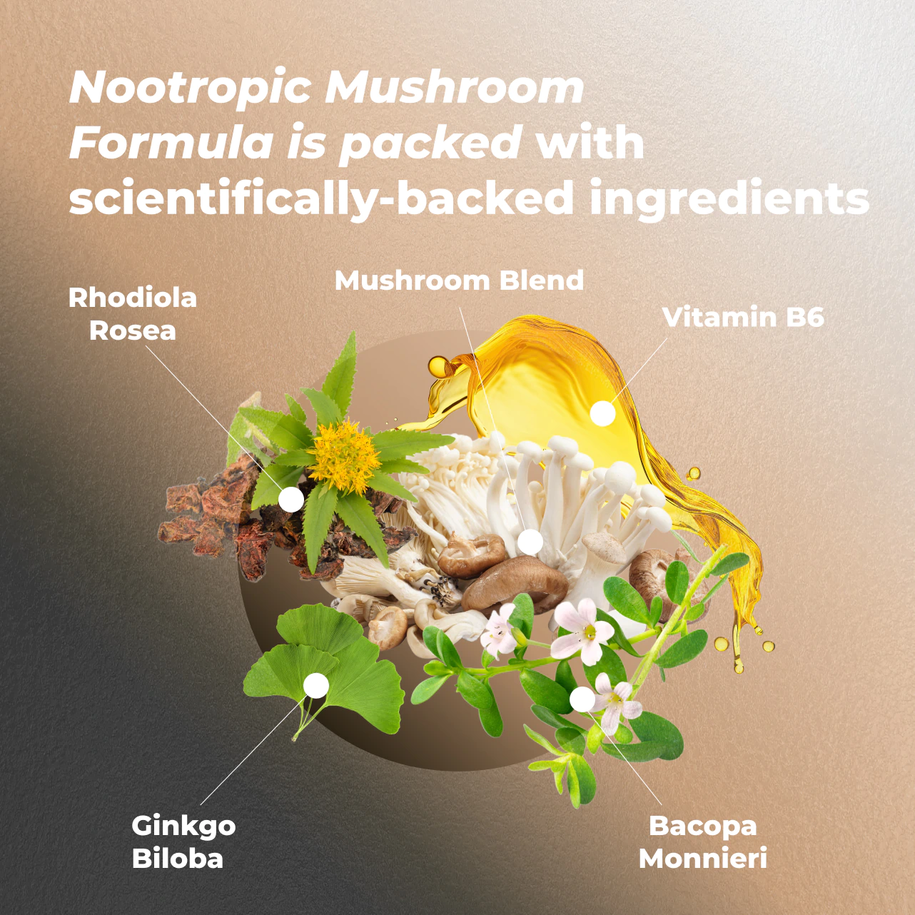 Nootropic Mushroom Formula